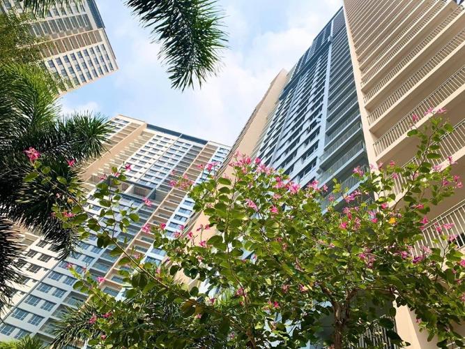 CÔNG TY CỔ PHẦN DỊCH VỤ KHOA HỌC CÔNG NGHỆ VÀ MÔI TRƯỜNG